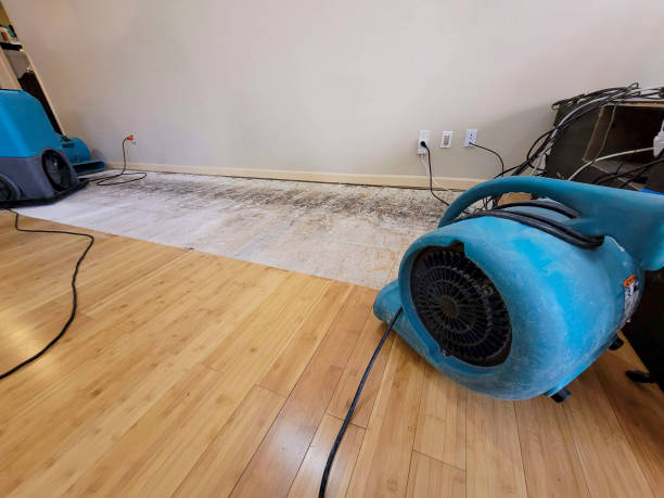 Professional Water Damage Repair technician working in Pfafftown, NC